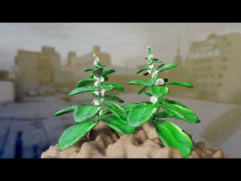 blender 3.0 geometry nodes growth plant