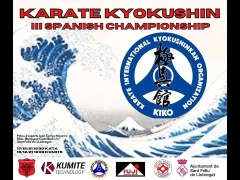 III Spanish Championship Kyokushin-Kan - Tatami 3