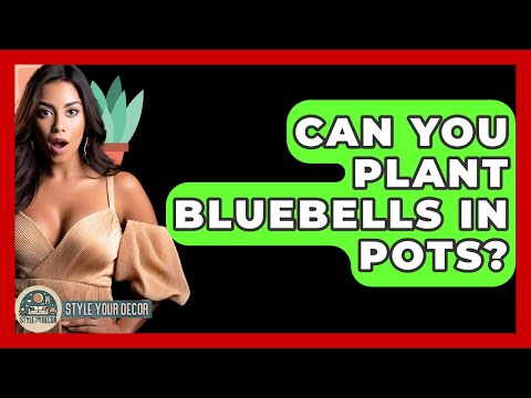 Can You Plant Bluebells In Pots? - Style Your Decor