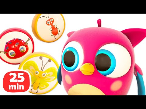Cartoons für Kleinkinder - HopHop die Eule Kompilation. Lehrreicher Zeichentrickfilm
