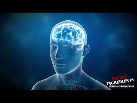 Doctor on Glyphosate and Brain Fog