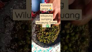 Download lagu ' Karedok Leunca ' #Shorts mp3 Download lagu ' Karedok Leunca ' #Shorts mp3