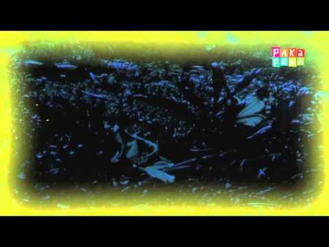 Animapaka II: Luciérnaga (Cap. 2) - Canal Pakapaka