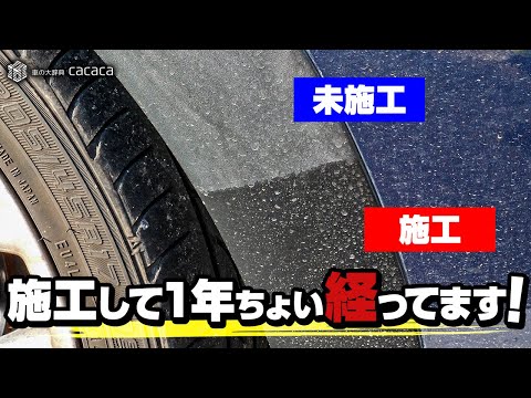 樹脂性トウダイグサ - 定義