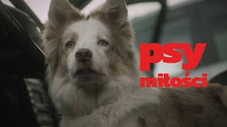 Musik-Video-Miniaturansicht zu Psy miłości Songtext von Muchy feat. Nosowska & Paweł Krawczyk