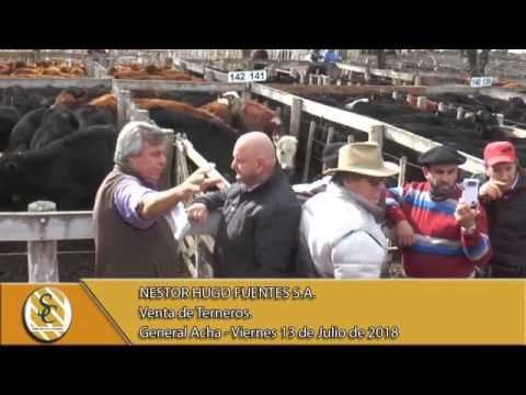 13-07-18 Venta de Terneros - Nestor Hugo Fuentes S.A. - Gral Acha.