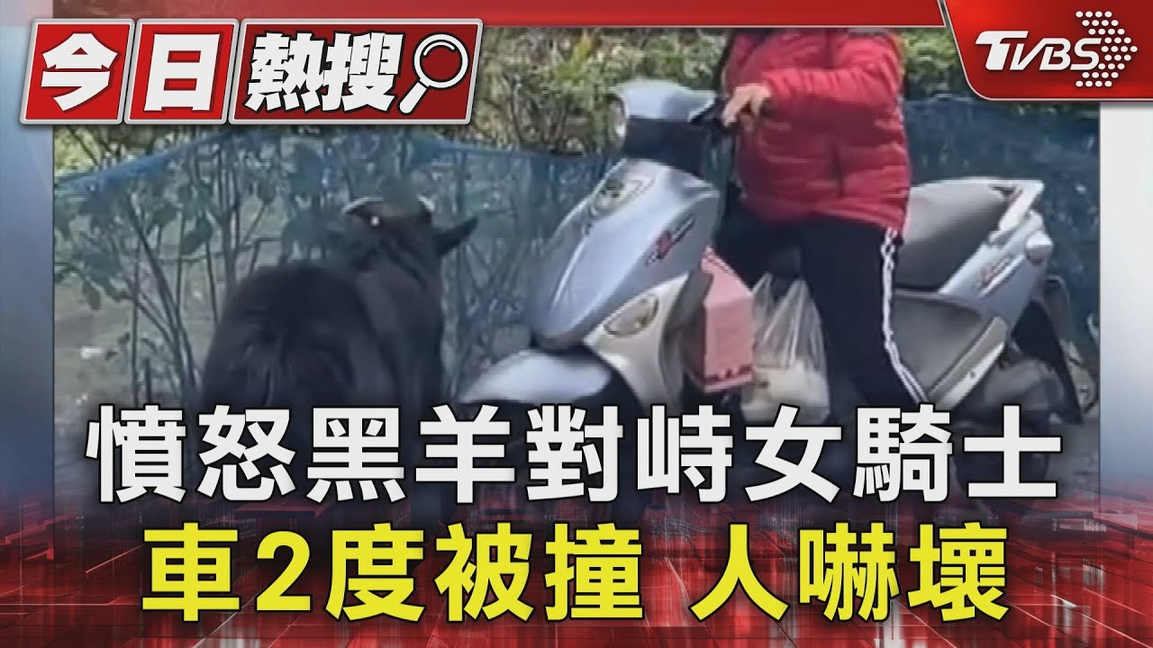 憤怒黑羊對峙女騎士車2度被撞 人嚇壞