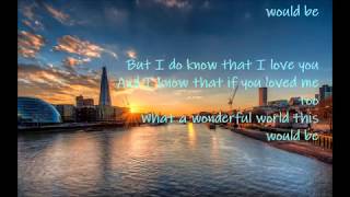 英伦经典    Herman&#39;s Hermits  wonderful world  lyrics