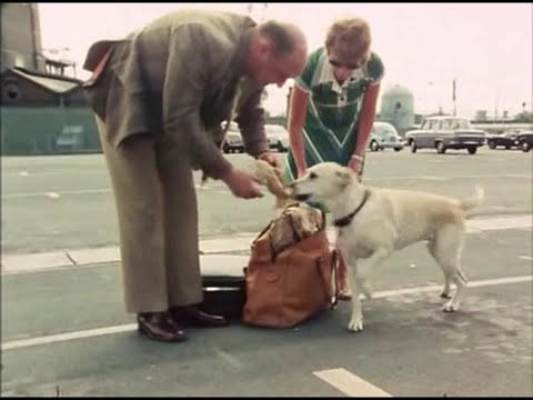 HMS Ark Royal. Eddie Calvert