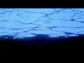 Juice Wrld Hemotions Slowed Reverb