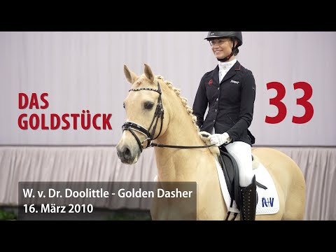 33 Das Goldstück Wallach v. Dr. Doolittle - Golden Dasher