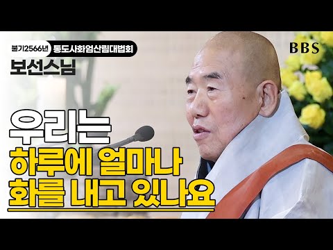 대표사진