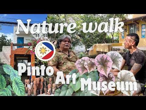 Meet The Philippines Native Plants Collection At Pinto Art Museum - Manila