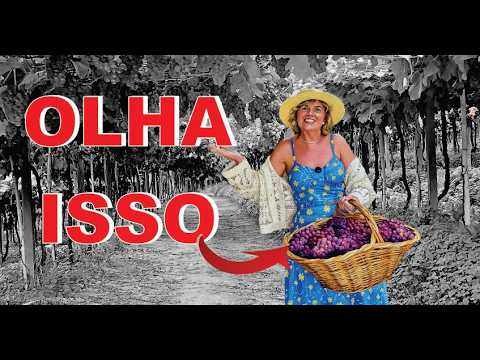 "OLHA ISSO! Você não vai acreditar no que encontrei em Vale do Sol!"