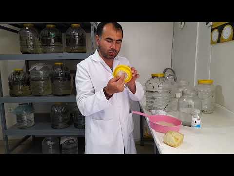 Dr Sülüklerin Evde Bakımı Nasıl Olur?#evdesülükbakımı