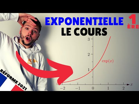 La fonction exponentielle en 5 minutes - Spé maths - Première