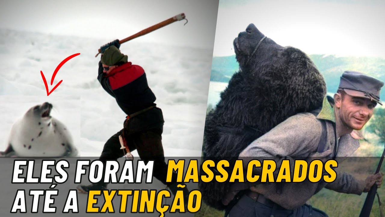 6 ANIMAIS EXTINTOS que foram MASSACRADOS pelo Homem