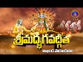 శ్రీమద్భగవద్గీత Srimad Bhagavadgita Akhanda Parayanam Tirumala 04 12 2