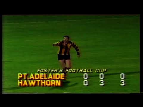 1985 Foster's Cup Hawthorn 16.15.111  d Port 14.8.92