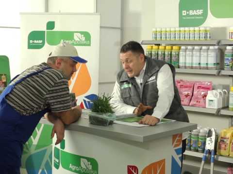 BASF AgroApoteka - Lancelot i Pallas, Dragan Macos