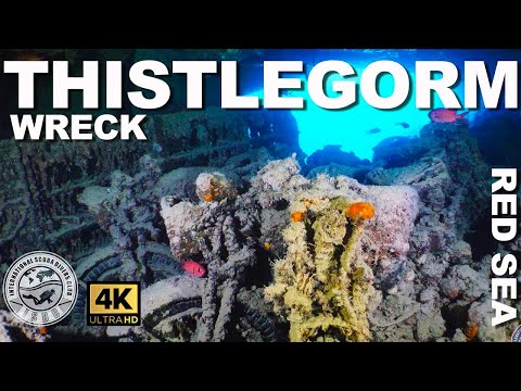 🇪🇬 #Wreck Diving: SS Thistlegorm (Red Sea, Egypt)