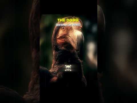 Extinct Animals Brought Back to Life | Is This Our Chance to Save the Earth?