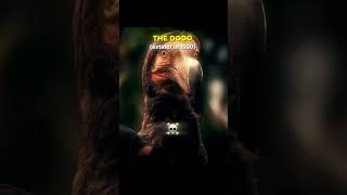 Download lagu Extinct Animals Brought Back to Life | Is This Our Chance to Save the Earth? mp3 Download lagu Extinct Animals Brought Back to Life | Is This Our Chance to Save the Earth? mp3