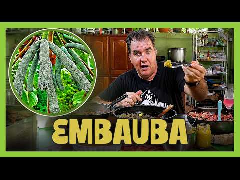EMBAÚBA: COMO COMER A ÁRVORE DA PREGUIÇA? (DA FOLHA AO FRUTO VERDE)