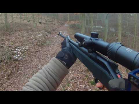 Drückjagd 12.01.2017