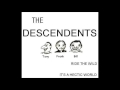 Descendents - It's A Hectic World