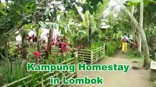 preview picture of video 'KAMPUNG HOMESTAY COMMUNITY TETEBATU'