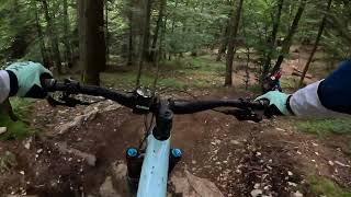 Easy Rider - Paganella Bike Park - Fai Zone - 06/06/2026