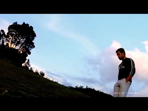 Thamaryum Sooryanum - Chocolate ♥️ [ Medium Quality Smooth Video ]