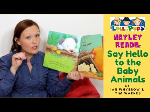 download lagu mp3 mp4 Say Hello To The Animals, download lagu Say Hello To The Animals gratis, unduh video klip Download Say Hello To The Animals Mp3 dan Mp4 Full Gratis