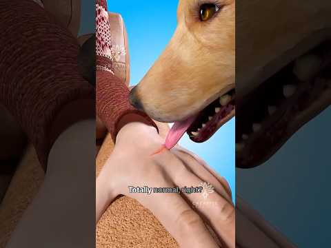 Can a Dog’s Lick Be Deadly? Her Story Will Shock You 😱 #short - Creativelearning3d
