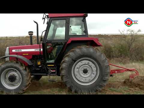 Təbiət - 08.03.2021