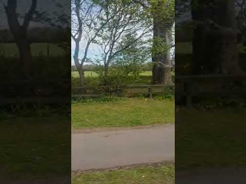 Stagecoach North East Man 18.220 22082 NK54 BHA