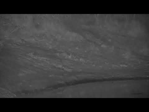 Djuma: Blacksmith Lapwing sitting on nest - 01:02 - 09/05/2023