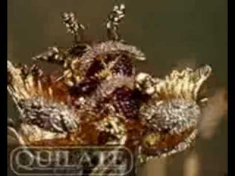 (0054) ARCANJO RAFAEL,  #15