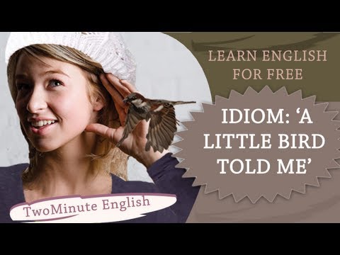 慣用句「小鳥が教えてくれた」-慣用句のレッスン (Idiom 'A Little Bird Told Me' - Lesson On Idioms)