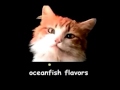 Meow Mix Song 15 Minutes