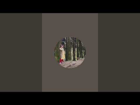 Hidden Surprises is live