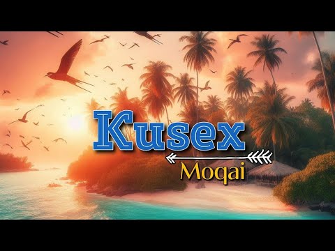 Moqai - Kusex