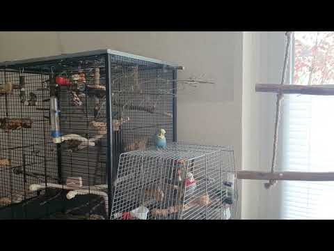 💖lich Willkommen Grobi 🎉🎉