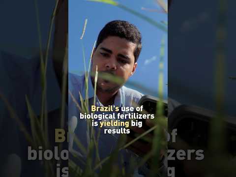 Biological fertilizers saved Brazil US$25.7 billion and 230M Tons of CO₂