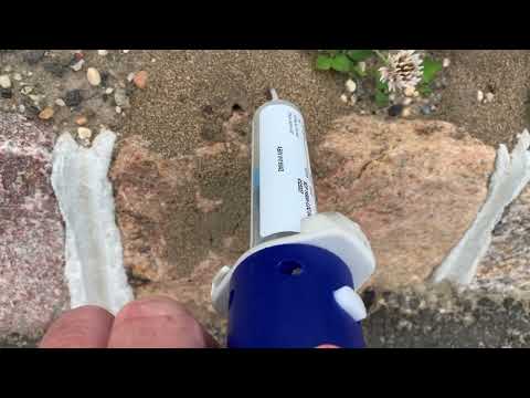 Multiple Ant Hills Found by the Driveway in Shrewsbury, NJ