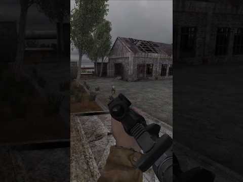 Stalker Anomaly Removed This Feature