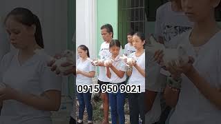 Funeral dove release #pigeon #funeral #dove #peacedove #funeralhome