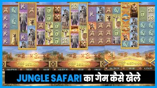 jungle safari pg slot || jungle safari maxwin || pg soft slots big win || pocket games | pocket game