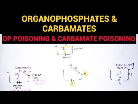 Autonomic Pharmacology - 7 | Organophosphates & Carbamate Poisoning | EOMS